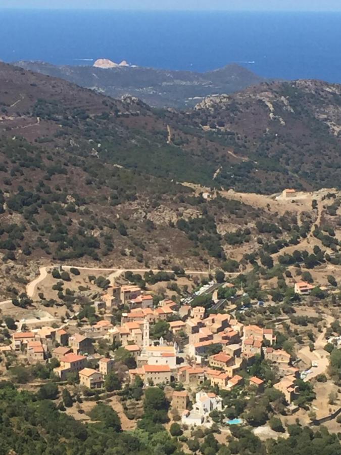 Villa Grand Confort A 500M De La Plage De Lozari Palasca  Luaran gambar